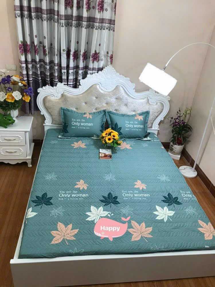 Bộ ga gối cotton Hàn Quốc