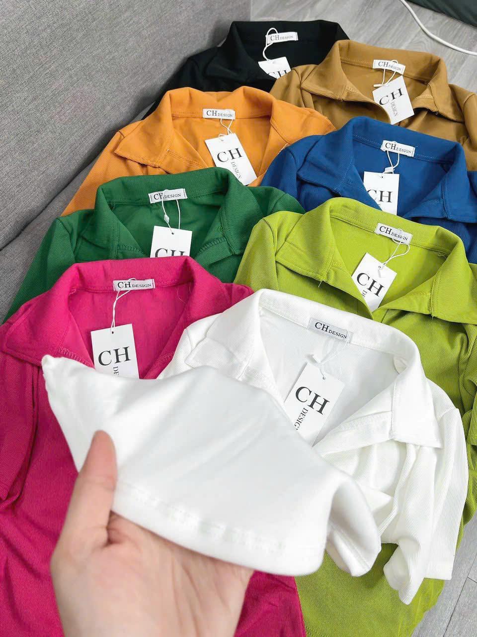 Áo thun polo nữ thun gân vạt bầu cổ bẻ