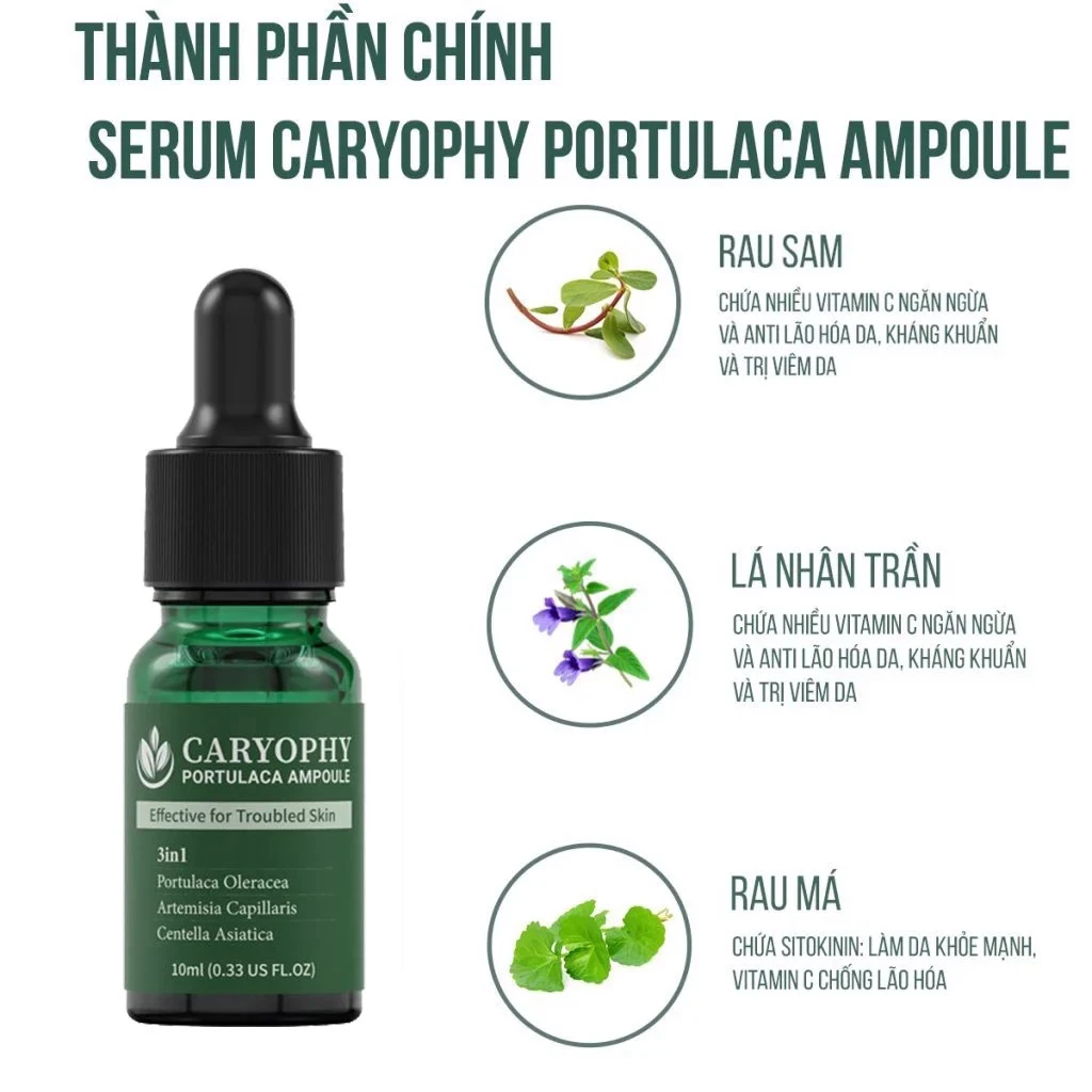 Caryophy Portulaca Ampoule