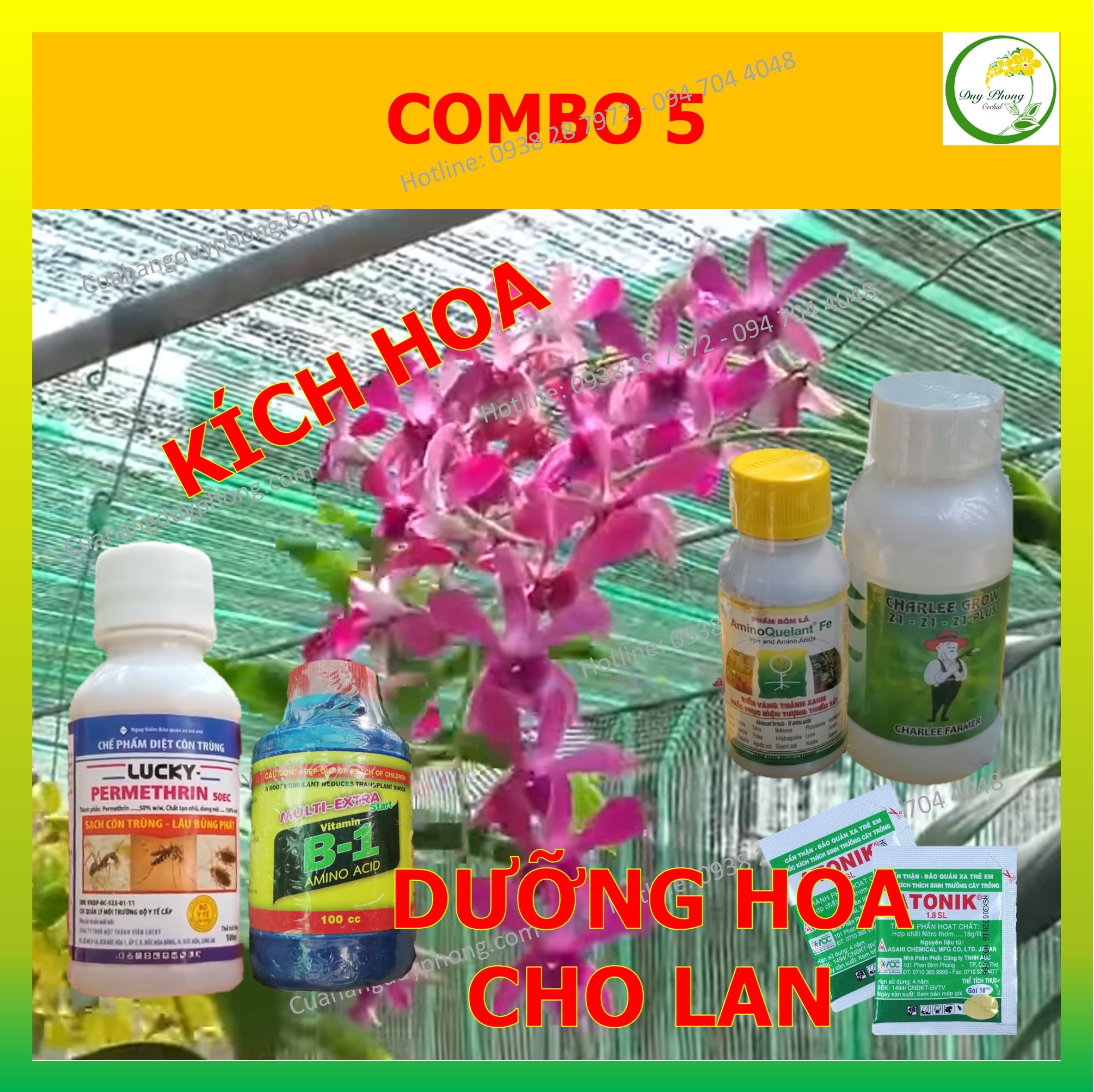 [Có video] Bộ combo 5 kích hoa, dưỡng hoa siêu đẳng
