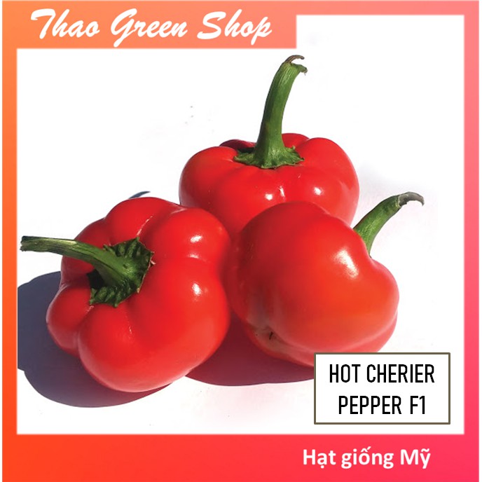 Hạt giống Ớt Bí Ngô Cherry F1