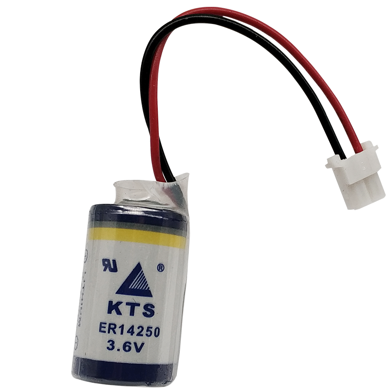 Pin KTS ER14250 3.6V 1/2 AA Pin PLC Delta