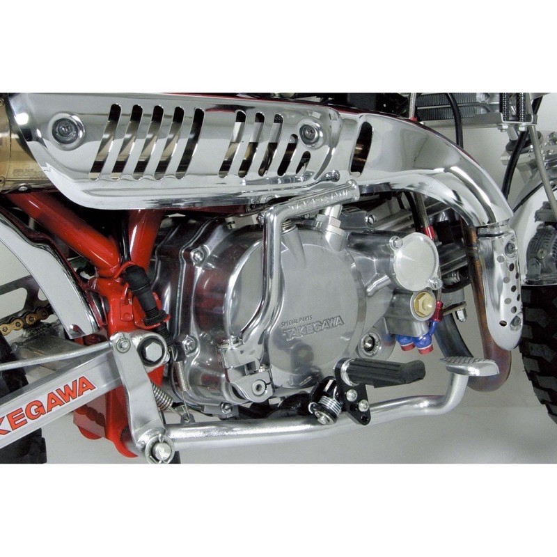 [HCM]Giò đạp máy Takegawa honda 67 cl wave dream