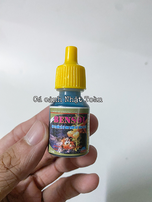"Hoàn tiền đến 10%" BENSOL VẤN ĐỀ NẤM KÝ SINH TRÙNG CHO CÁ CẢNH 12ML