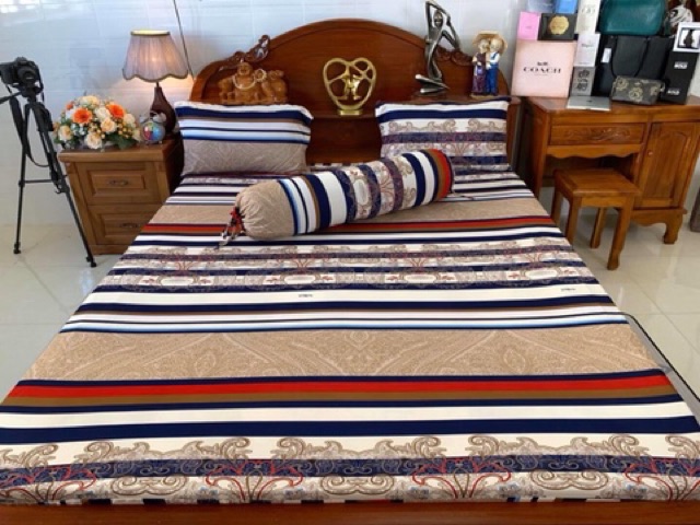 Bộ drap thun hàn quốc mẫu viền sọc
