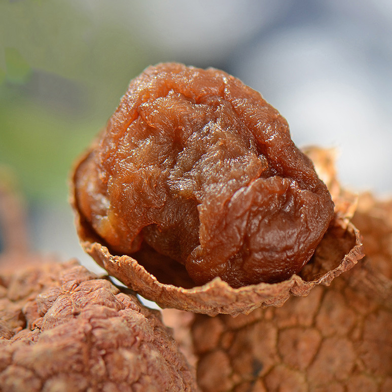 Vải Thiều Sấy Khô Bắc Giang Vinafruits 500g