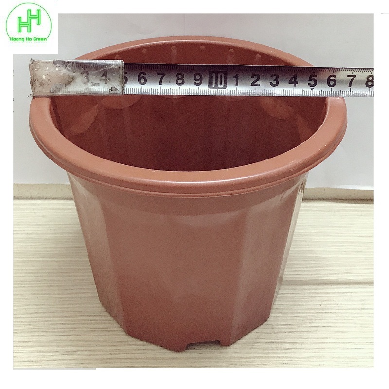5 Chậu Nhựa Trồng Hoa, Cây Cảnh E230 CN