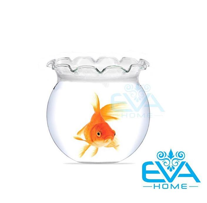 [HCM]Hồ Cá Bể Cá Miệng Bèo Thuỷ Tinh Mini B9 6 x 7 Cm Tặng Kèm Sỏi Và Rong Trang Trí