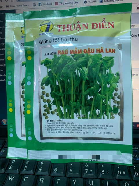 Hạt giống mầm đậu hà lan giá rẻ