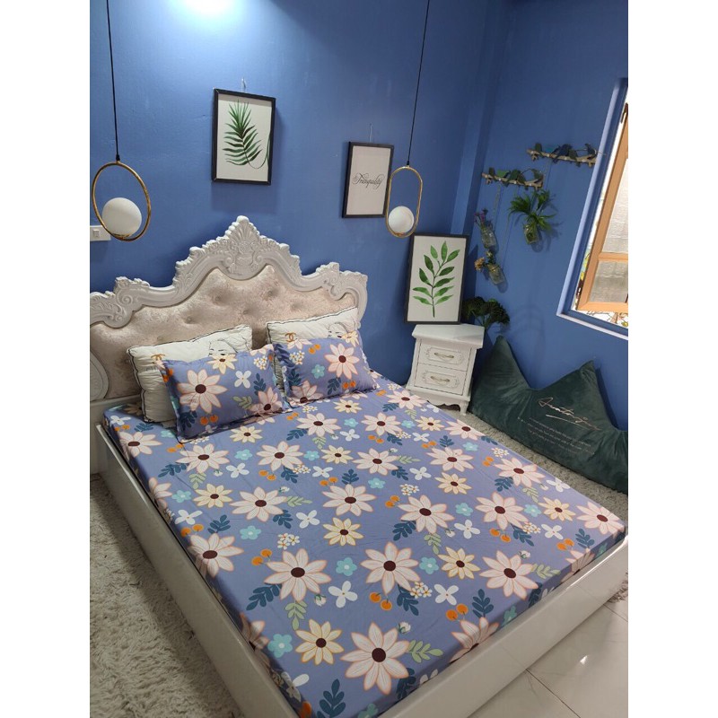 Vỏ Chăn Có Khoá Kéo Cotton Poly 2M2 X2M