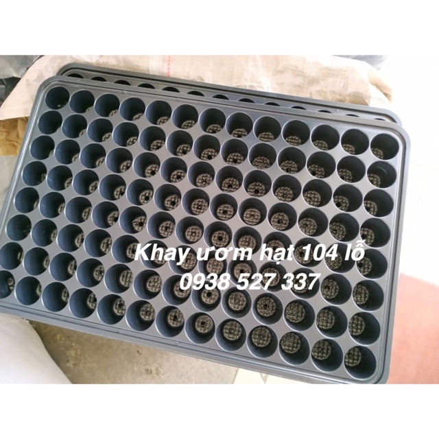 5 Khay ươm hạt vỉ ươm hạt 104 lỗ giá rẻ