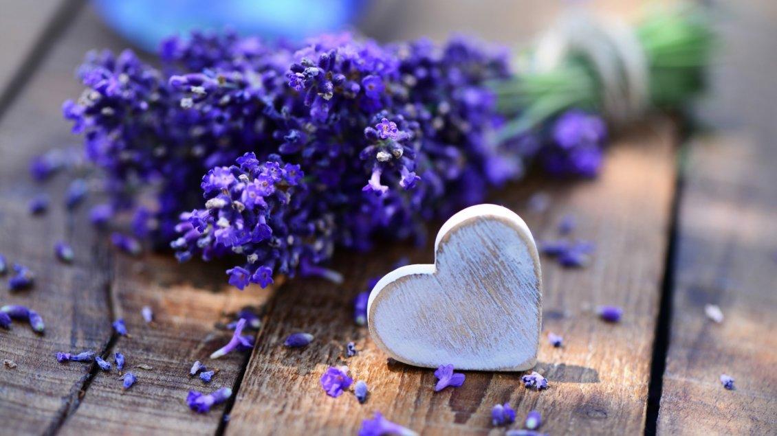 Tinh dầu hoa oải hương Lavender (10ml)