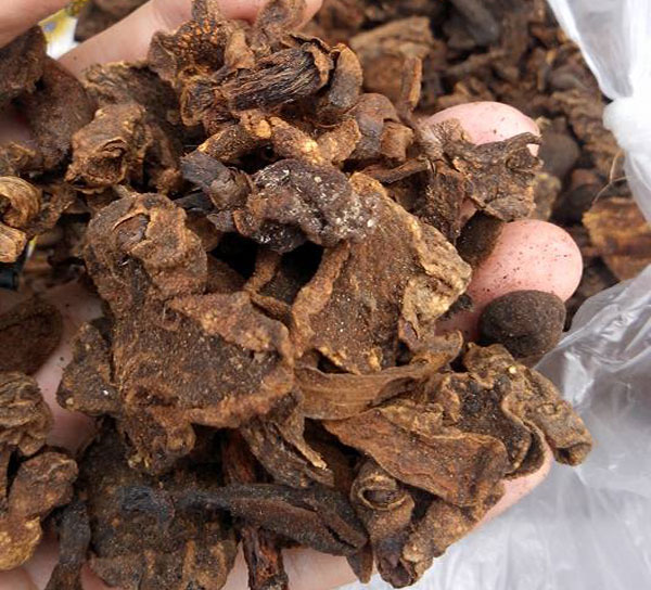 01 Kg Nấm ngọc cẩu khô