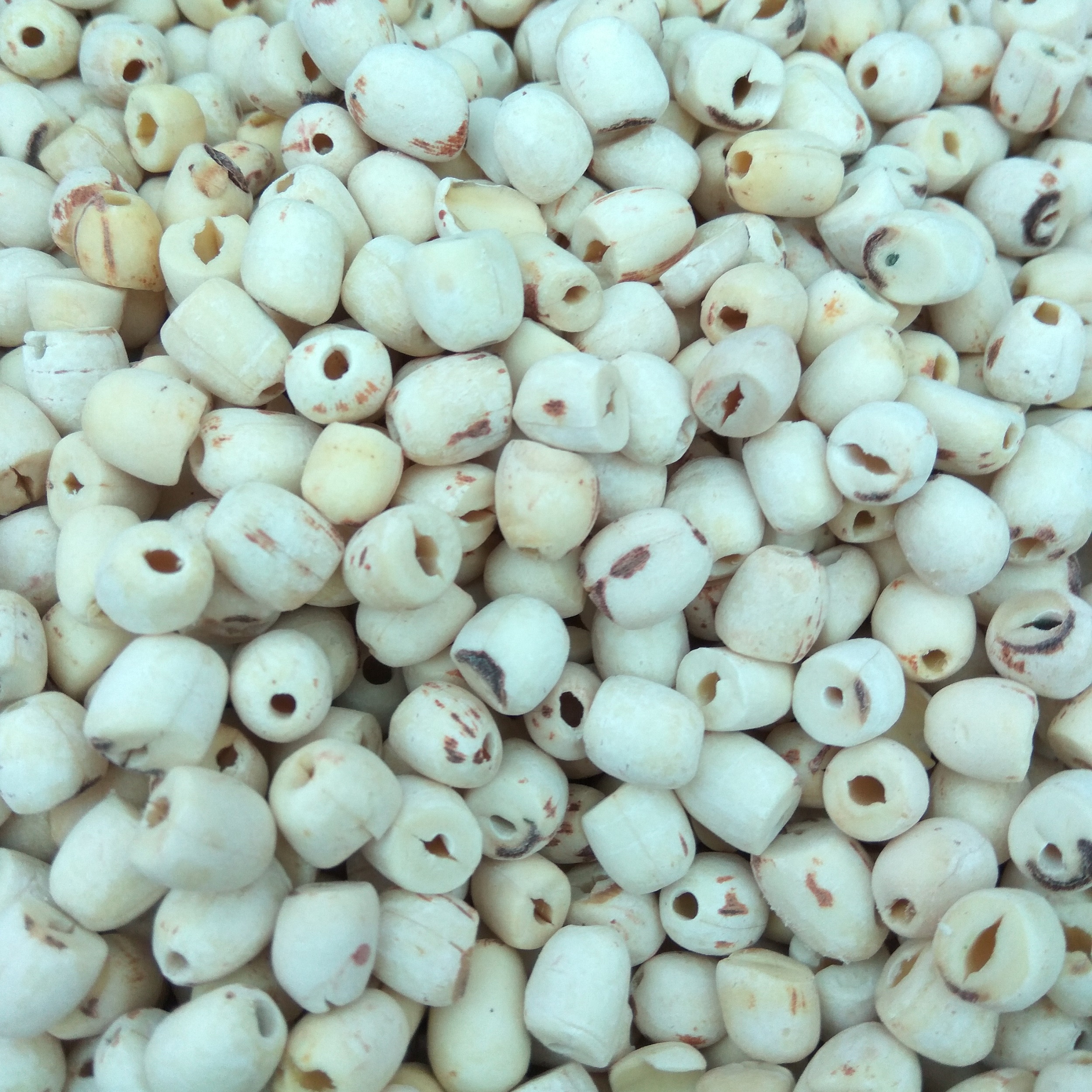 Hạt sen khô - 100g - dùng nấu chè nấu canh