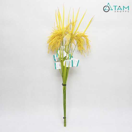 [HCM]Cành Bông Lúa Giả Trang Trí Y Như Thật - Fsfsdcsdcssd