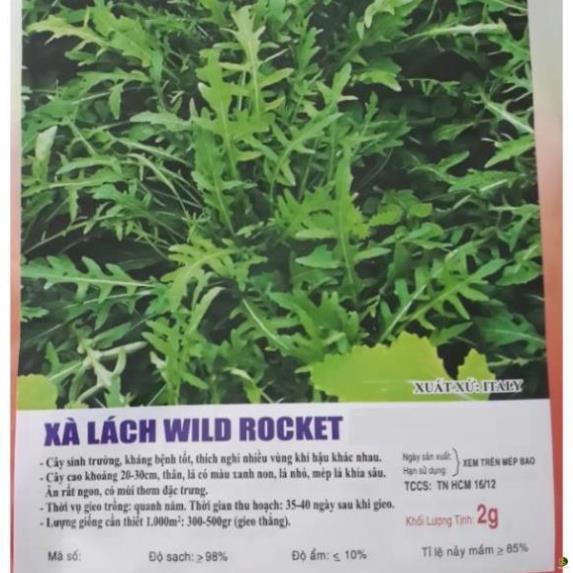 Hạt giống xà lách rocket - gói 2 gram