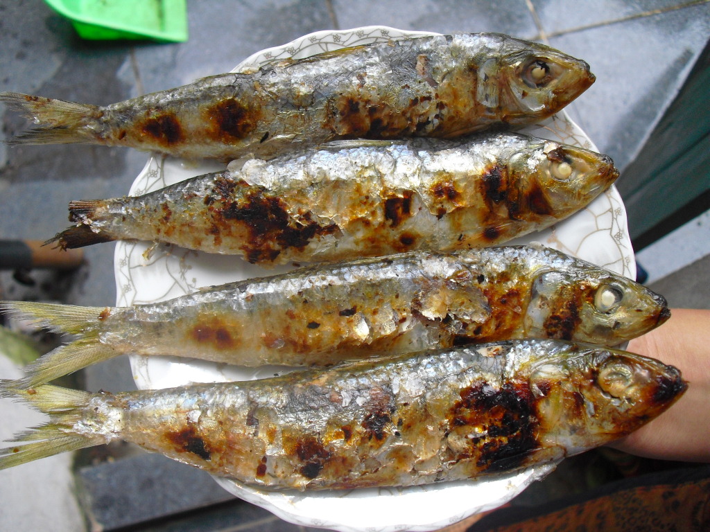 CÁ TRÍCH (cá nhâm) khô loại ngon 500gr LÀNG CÁ NAM BỘ