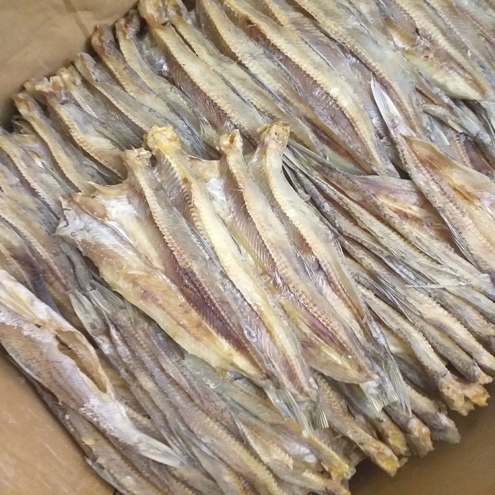 0.5kg khô cá mối bỏ đầu loại lạt không ướp