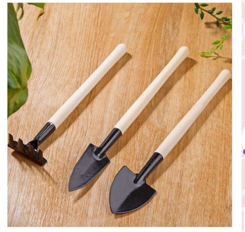 Bộ dụng cụ làm vườn mini, 3 món, cán gỗ