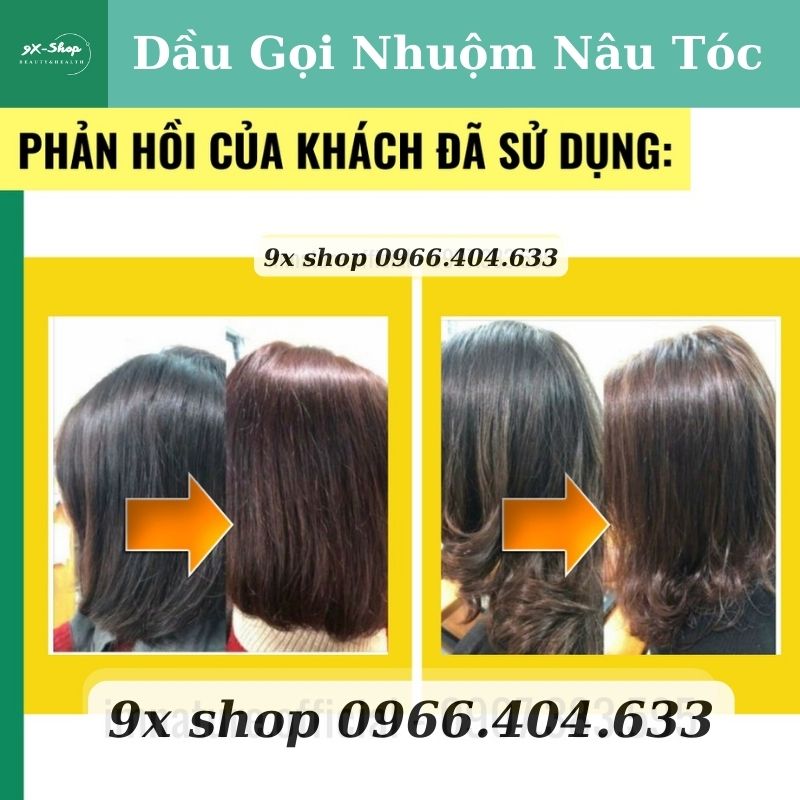 Dầu Gội Nhuộm Nâu Tóc Hạt Dẻ Max Shine Color