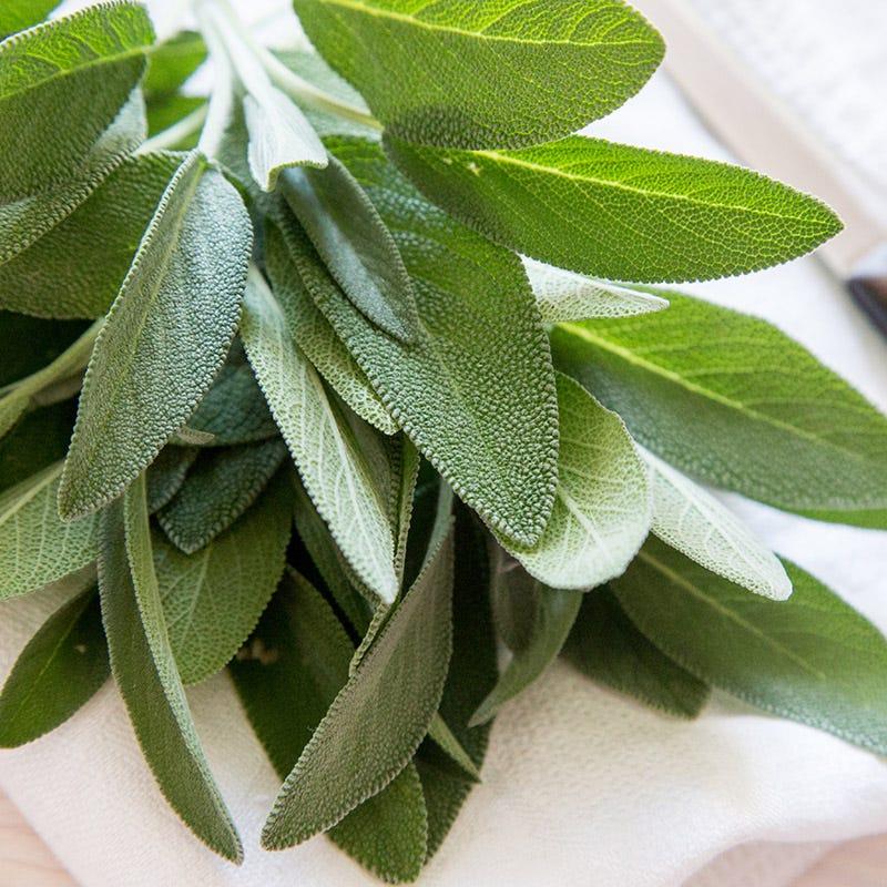 Bột sage (xô thơm) hữu cơ Simply Organic 40g