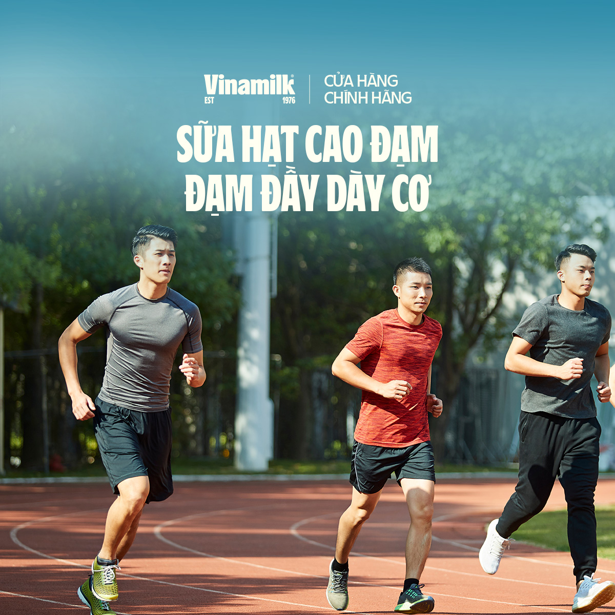 Thùng 24 hộp sữa hạt Cao Đạm ít đường Vinamilk - hộp 180ml