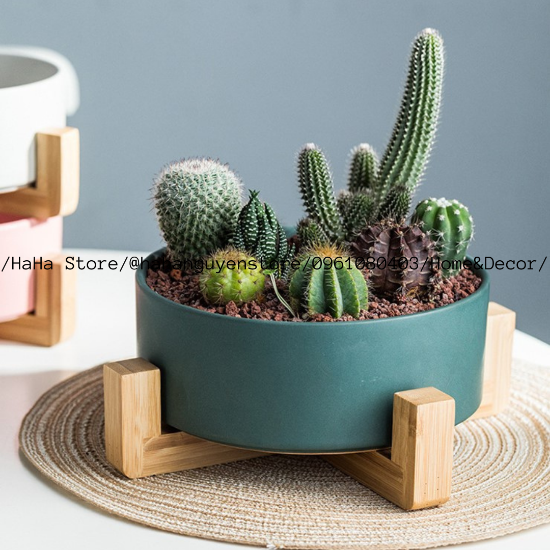 Đôn Gỗ Đặt Chậu Cây ĐỂ BÀN Decor Chậu Cây CCG05-DB