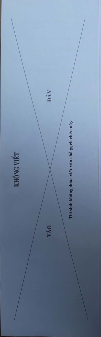 Giấy thi A3 ( 100 Tờ ) Phách Dọc