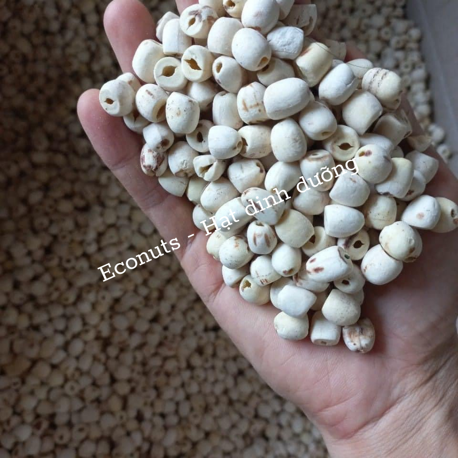 Hạt sen khô Huế loại 1 Econuts, bở thơm ngon