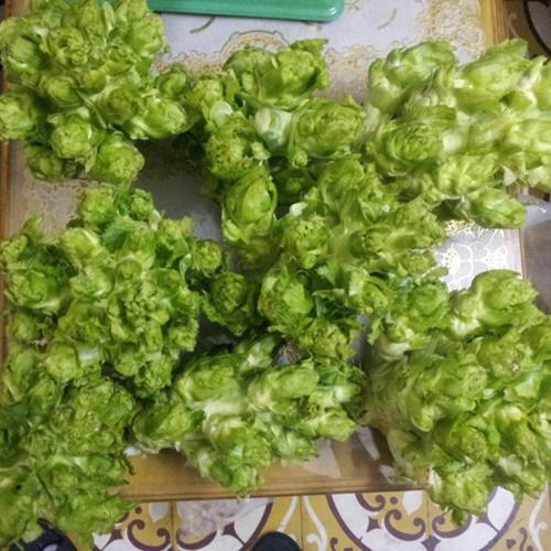 Bộ 2 Túi Hạt Giống Rau Cải Mầm Đá F1. Mỗi Túi 0,2 Gram. Giá Khuyến Mại