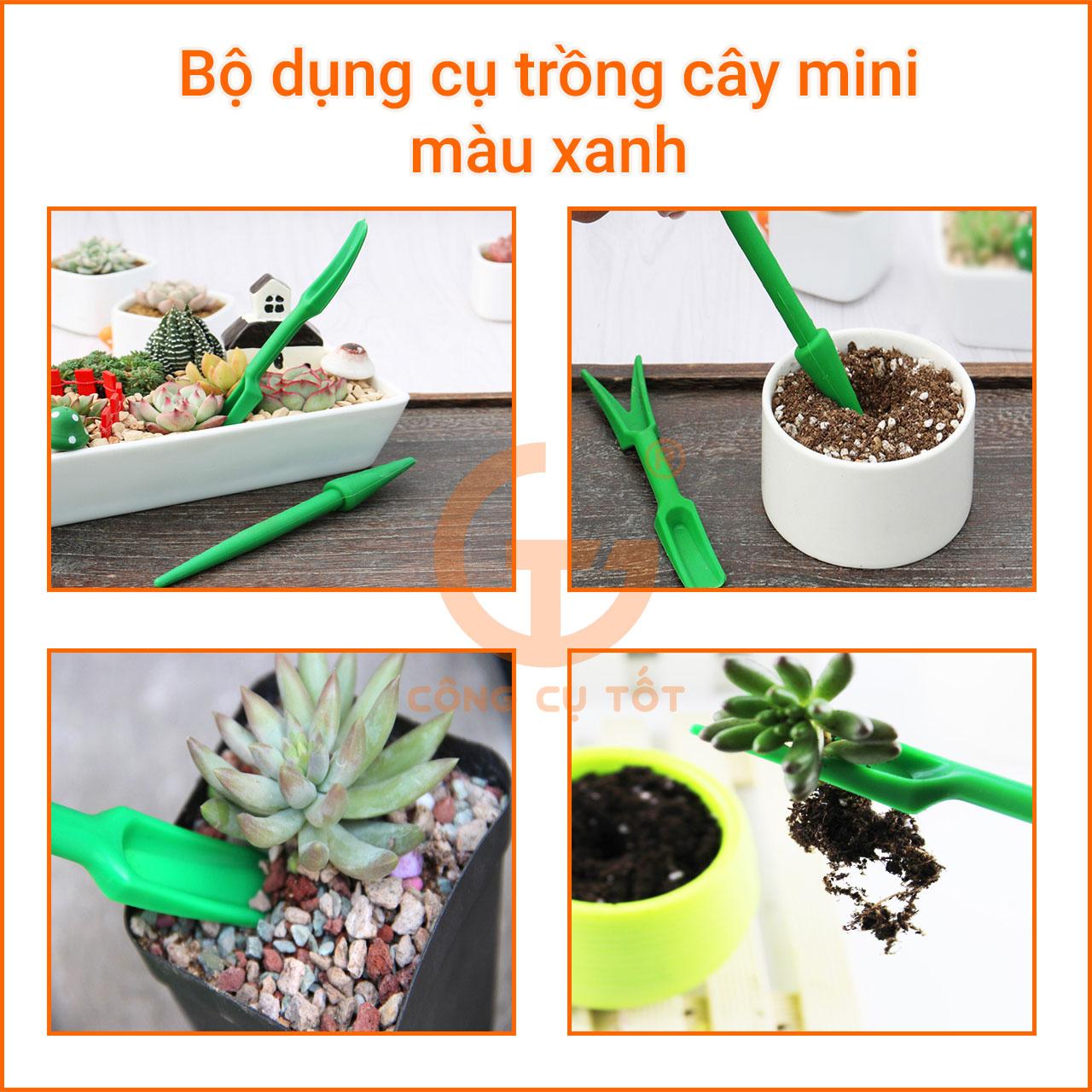 Combo 5 bộ dụng cụ trồng cây sen đá mini