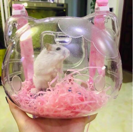 Lồng Vận Chuyển Hamster - Lồng Xách Tay Kitty Cho Hamster - 2 Size - [Nông Trại Thú Cưng]