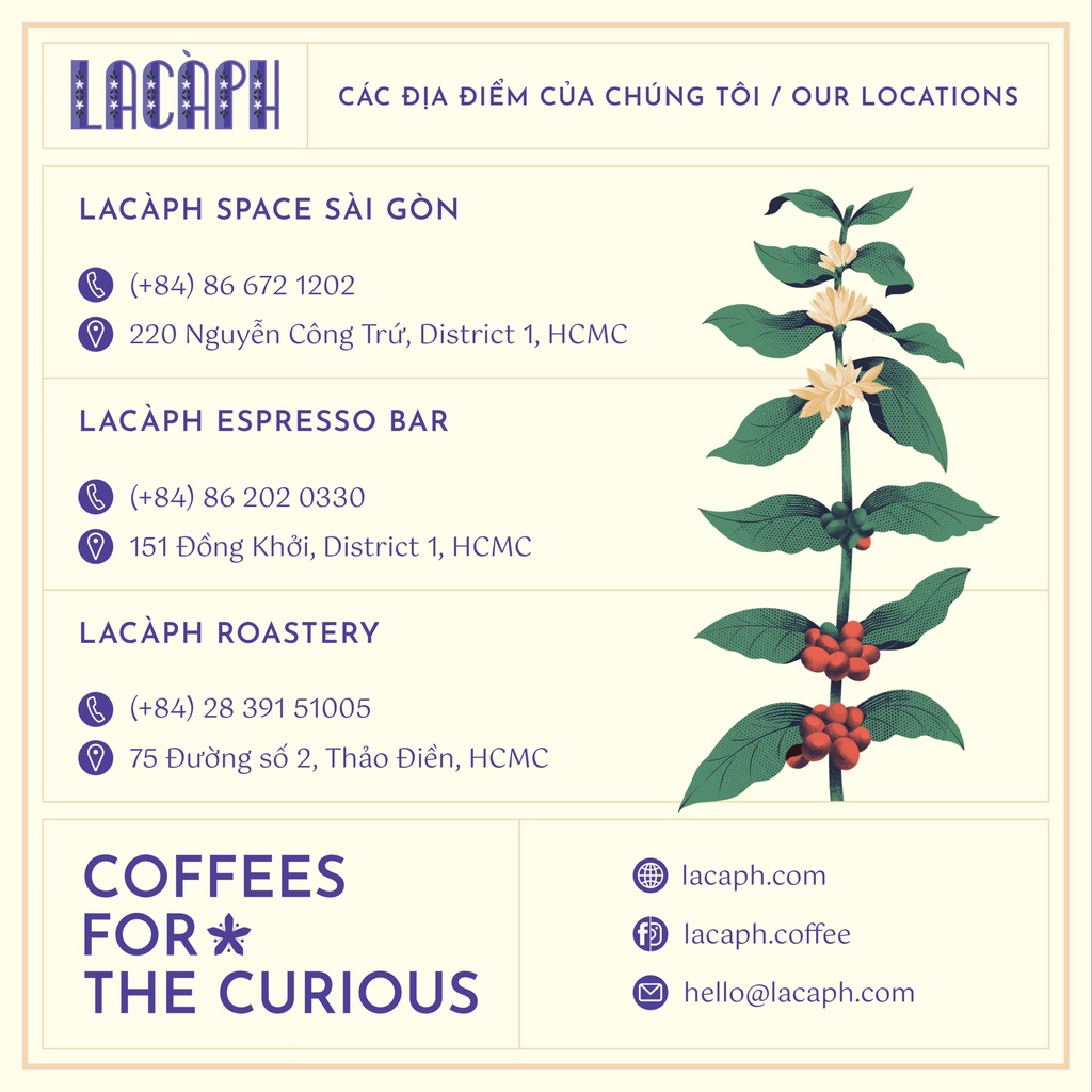 Cà phê Traditional Phin Blend By Lacàph (Nguyên hạt/Bột) - Hàng chính hãng