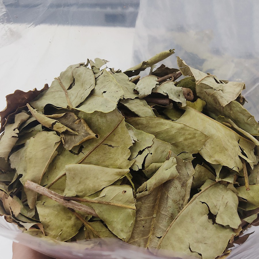 lá vối nếp sấy khô 1kg