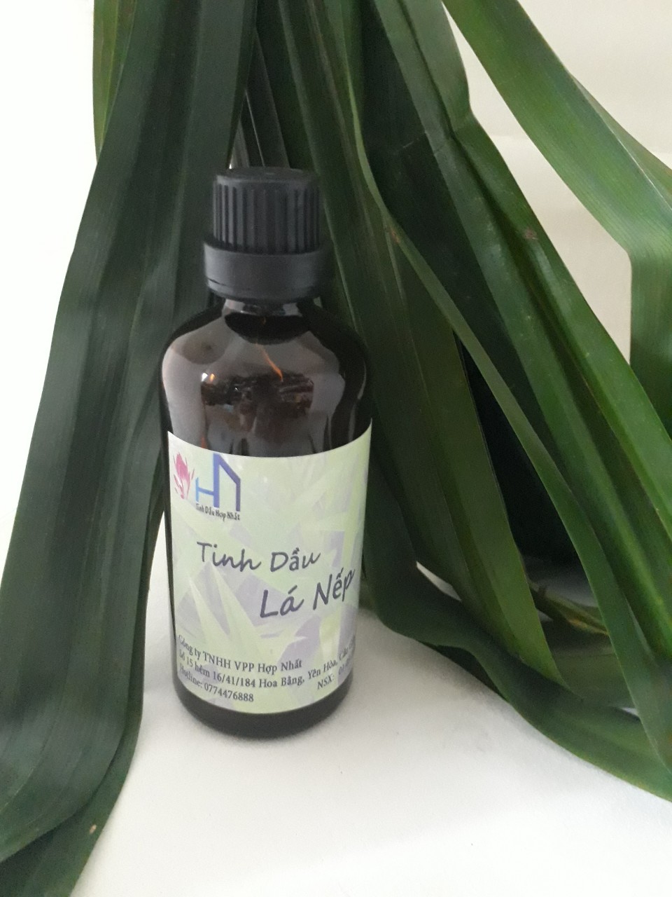 Tinh dầu Lá Nếp thơm Lọ 100ml