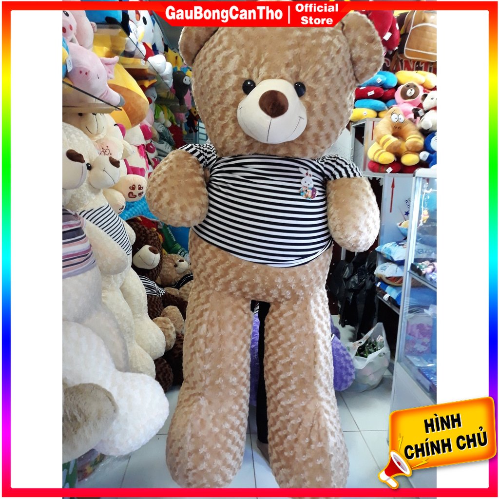 Gấu teddy khổ 1m6 cao 1m4 gấu bông giá rẻ