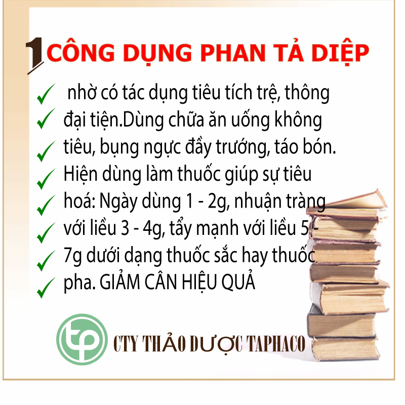 [Thảo dược khô] Phan tả diệp khô 200g - Dược Tấn Phát - Hàng sạch thơm cao cấp