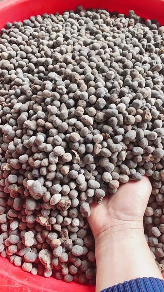 Phân dê xử lý nấm TRICHODERMA 1kg