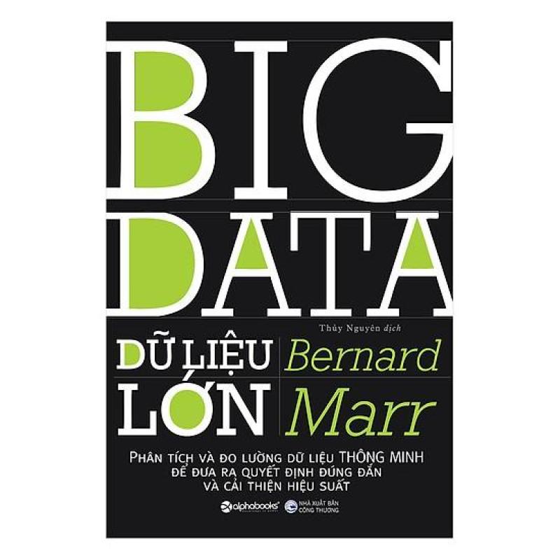 Sách - Dữ liệu lớn (Big Data)