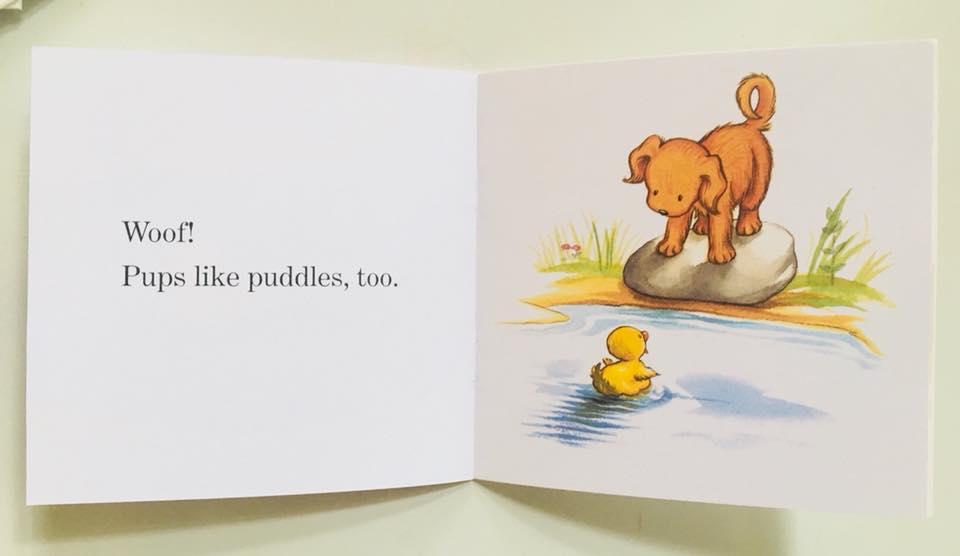 Bộ nhập - I Can Read Biscuit Phonics (Biscuit mini 24 Cuốn + File Nghe)