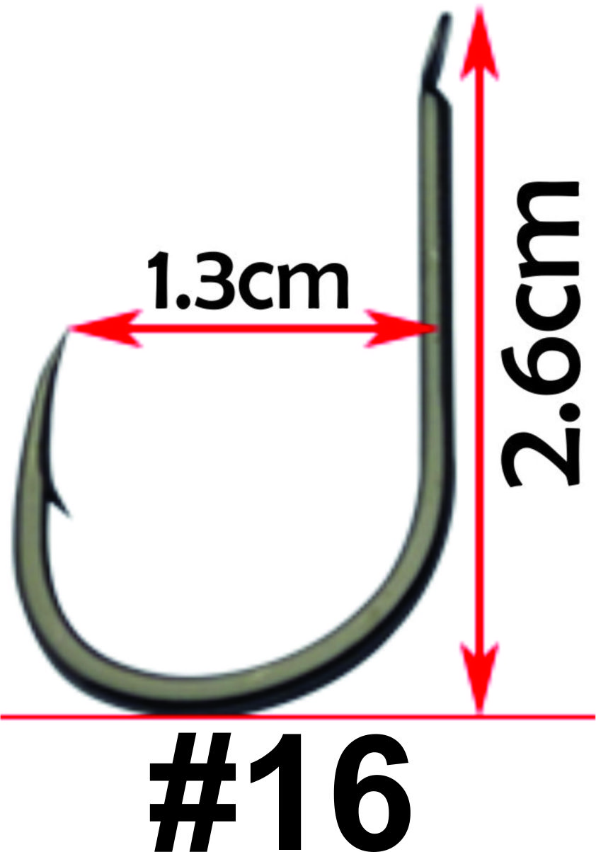 Chùm Nho Câu Tra - Size 16