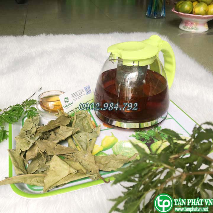 Lá vối sấy khô 500g - Trà ngon bổ dưỡng -  Hàng chính hãng Tấn Phát
