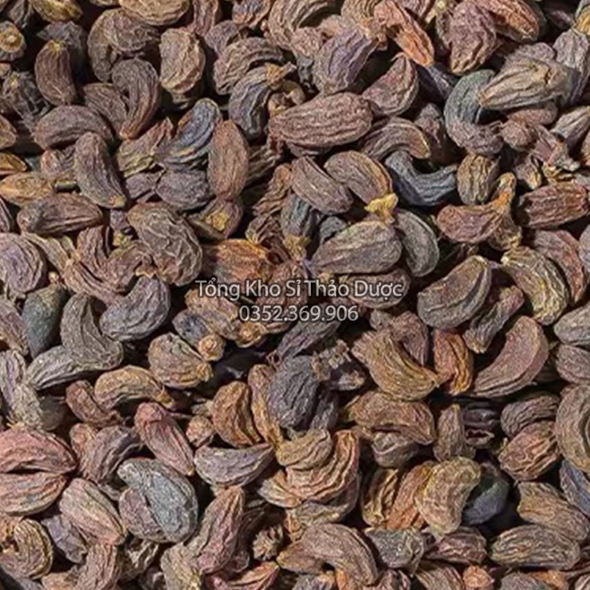 Nữ Trinh Tử 100g