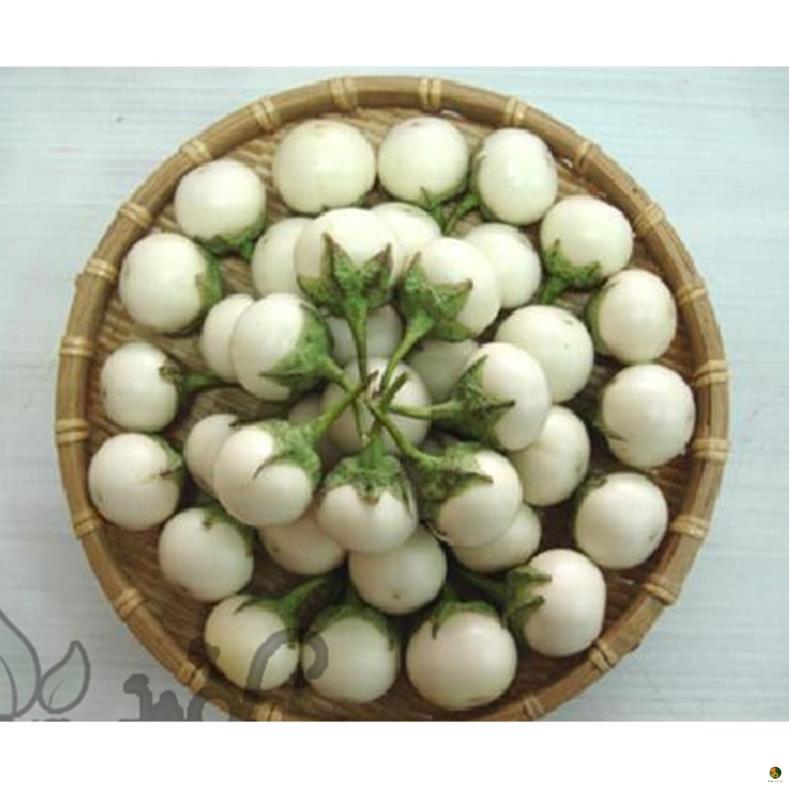 Hạt Giống Cà Pháo Trắng - Gói 1 Gram