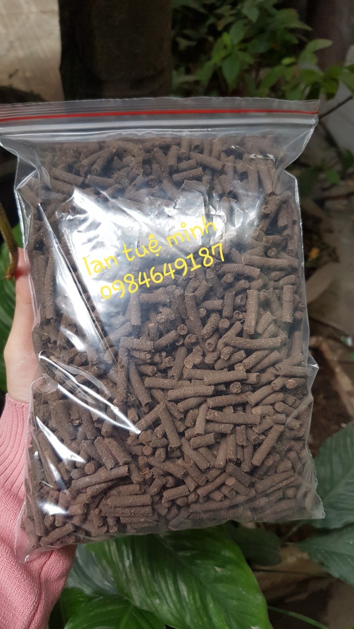 Combo 2kg phân trùn quế