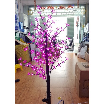 cây hoa đào có đèn led 1m2