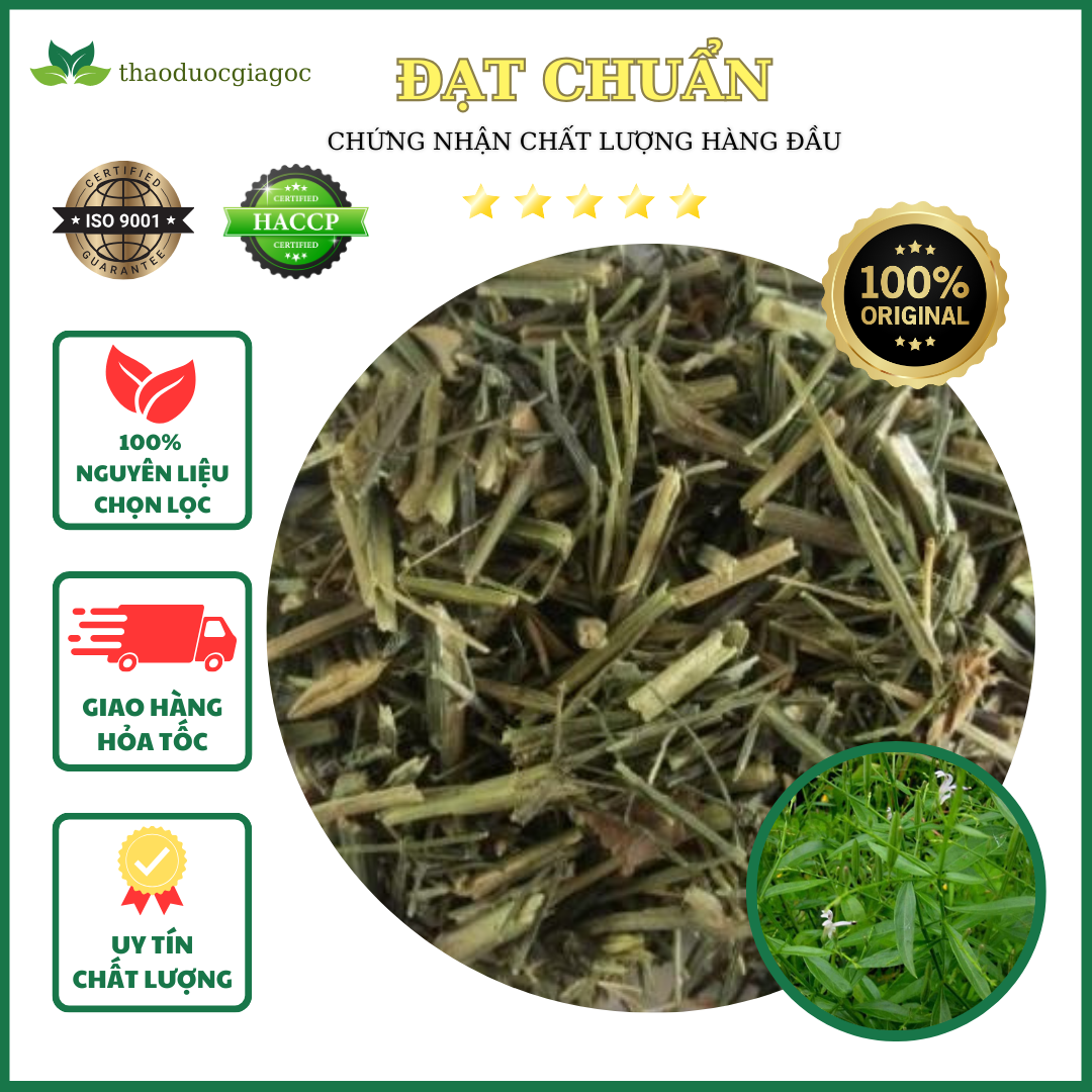 1kg xuyên tâm liên