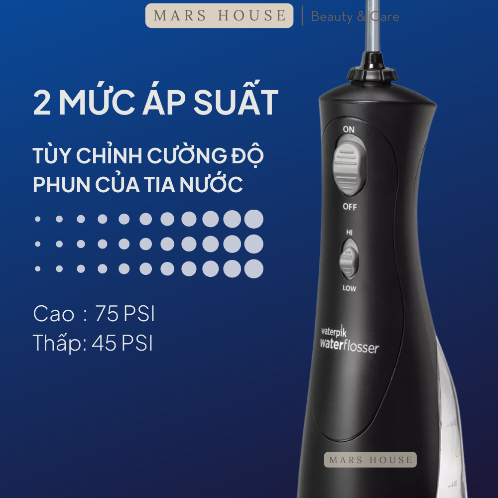 Máy Tăm Nước Waterpik WP-462W Hàng Mỹ