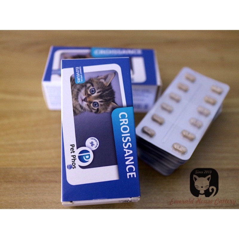 Pet Phos Croissance looại 1 vỉ 12 viên - viên nén vitamin tổng hợp cho mèo ( must have )