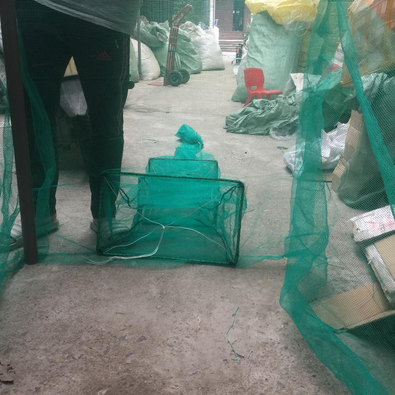 Đăng vét cá dớn bắt cá vây cá